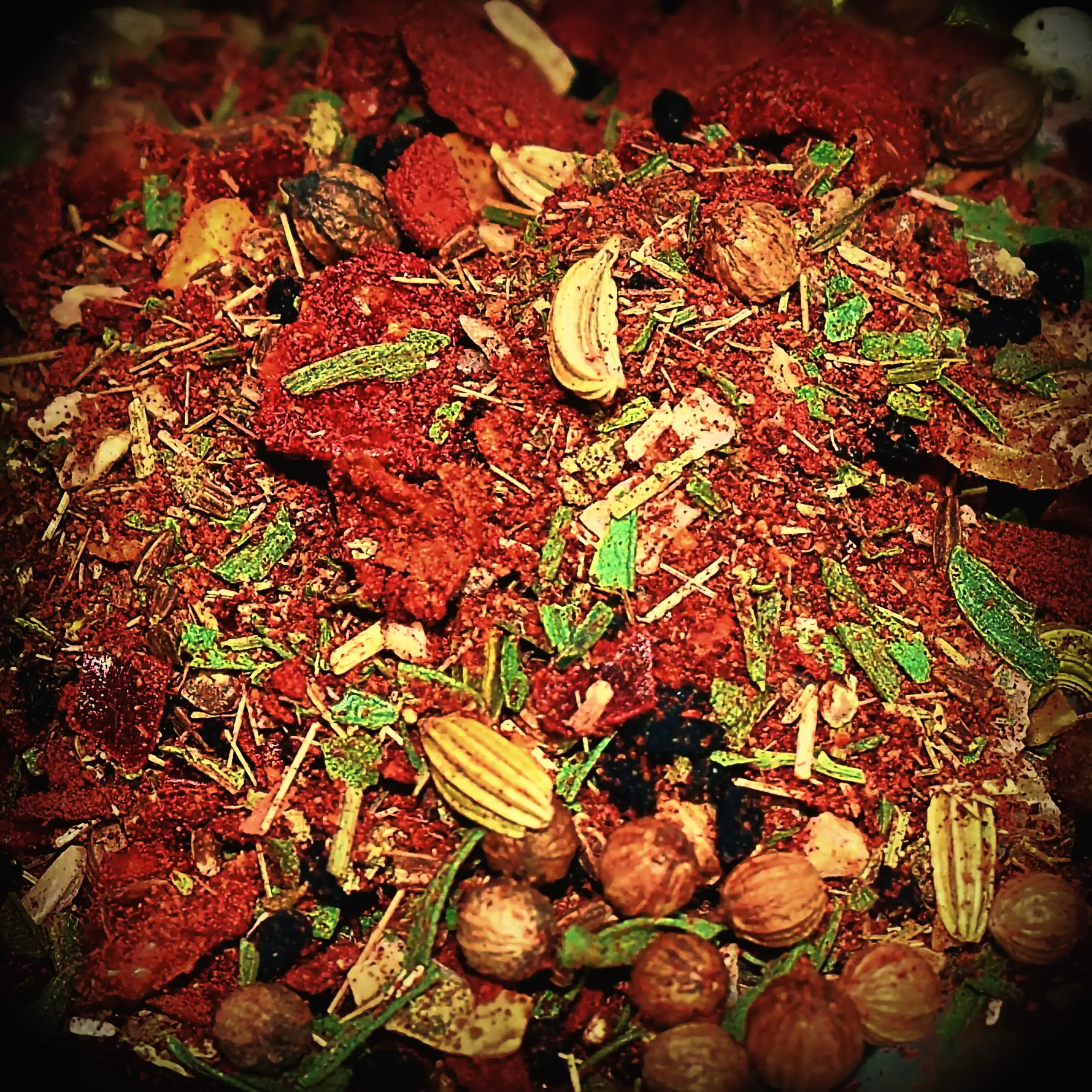 Detailaufnahme der Gewürzmischung Körrie FLY: Eine farbenfrohe, grob geflockte Kräuter- und Gewürzmischung mit roten Tomatenflocken, grünen Kräutern wie Lemongras und Estragon, gelben Samen wie Fenchel und Koriander, schwarzen Nigella-Samen, rotbraunen Zi