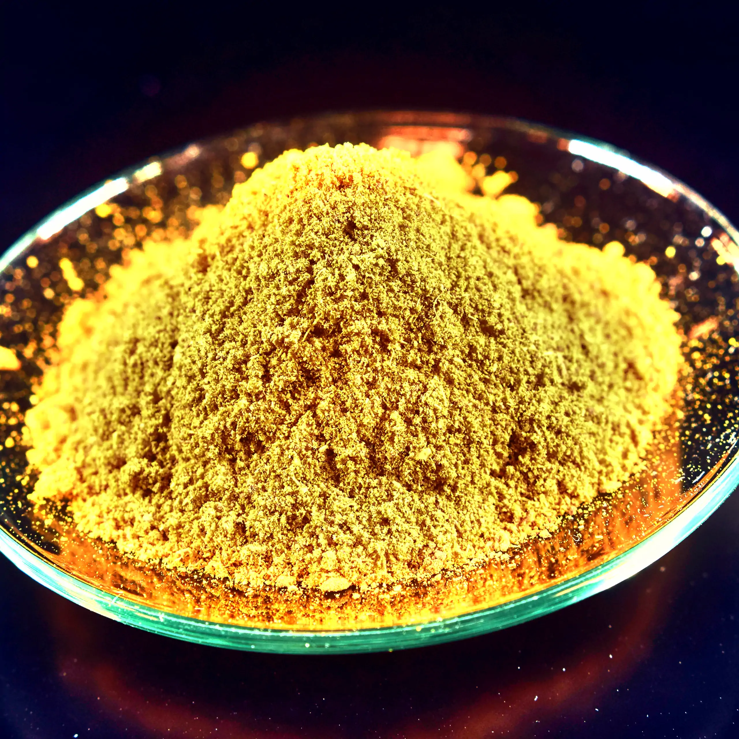 Detailaufnahme der Körrie 011 Gewürzmischung: Ein Haufen einer leuchtend goldgelben, fein gemahlenen, rauchig-scharfen Curry-Mischung in einer flachen, transparenten Glasschale auf dunklem Hintergrund, der die intensive, aromatische Textur und warmgoldene