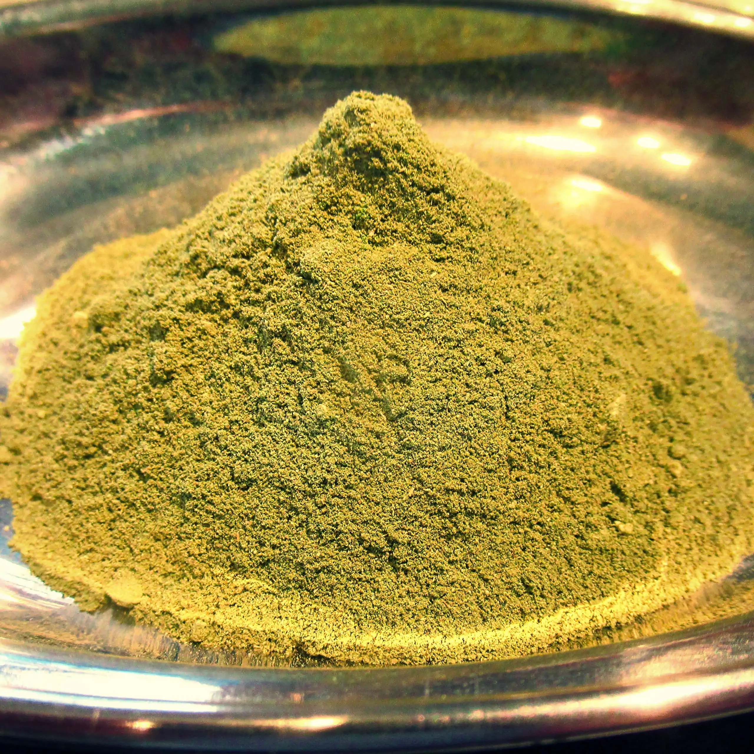 Ergänzende Ansicht der Körrie EK5 Gewürzmischung: Ein Haufen leuchtend gelb-grüner, extra feinpulvriger Kräutermischung in einer Edelstahlschale, die hochkonzentrierte, geschmacksintensive Textur für einen frischen, appetitlichen Look betonend. Diese hoch