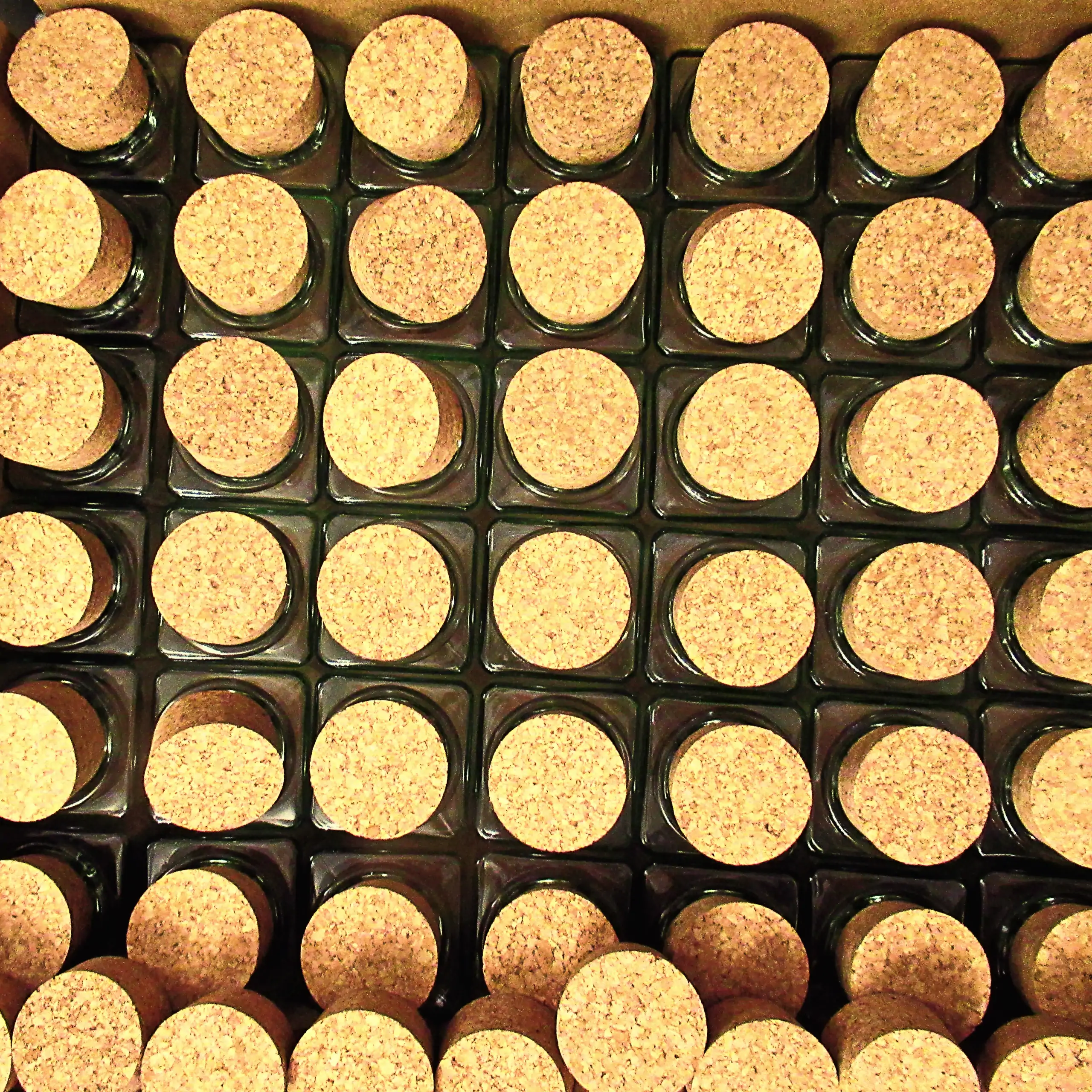 Detailaufnahme der Körrie-Korken-Gläser (Körrie KKG): Eine Lagerbox in Draufsicht, befüllt mit eleganten, quadratischen Glasgefäßen mit natürlichen Korkverschlüssen, geschlossen in ordentlichen Reihen präsentiert für einen übersichtlichen, versandbereiten